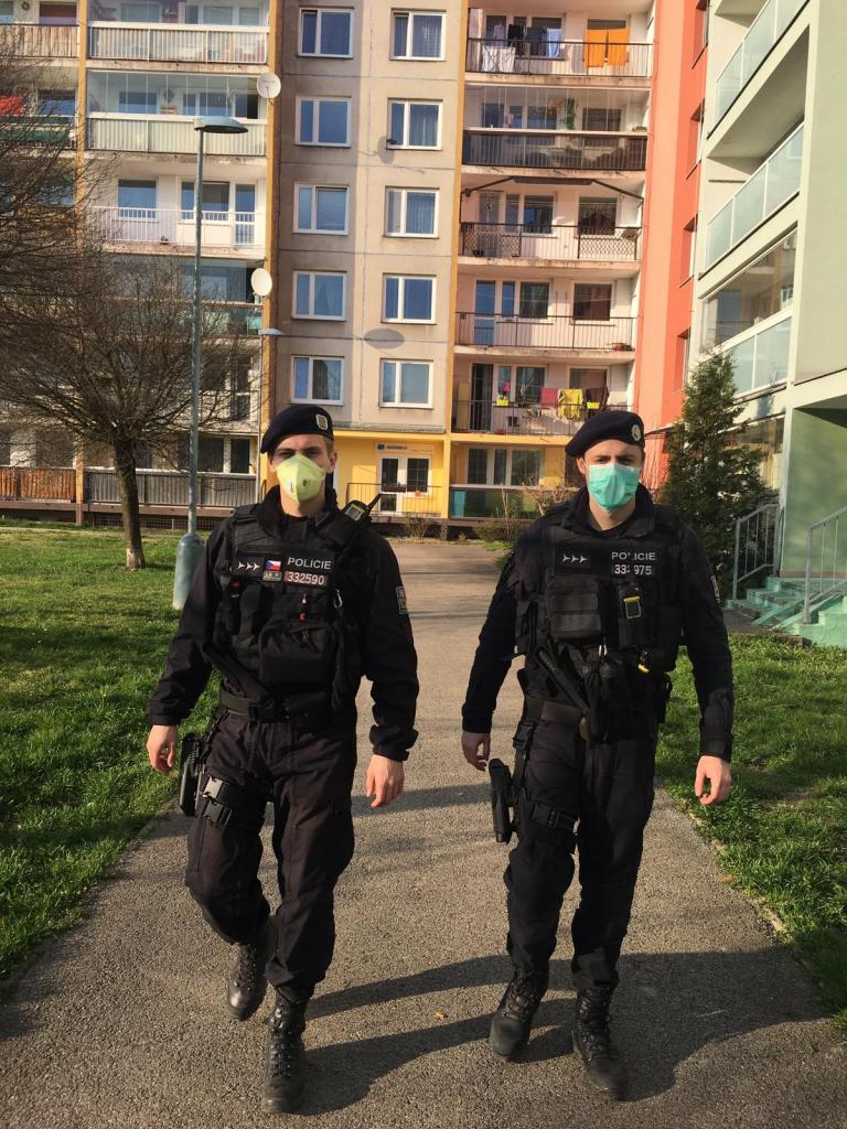 Pěší kontrolní činnost