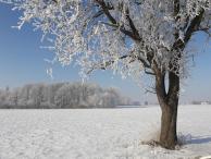 Neriskujte kvůli sněhu a námraze na vozidle